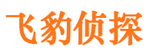 拜泉侦探公司